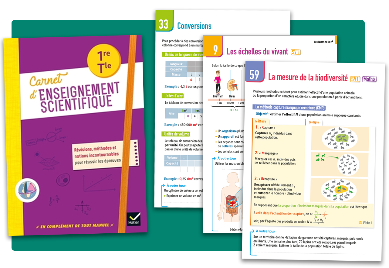 Carnet