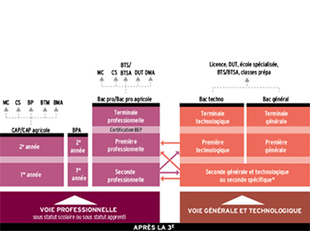 Poursuite des études après la 3ème