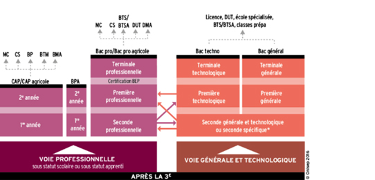 études après la 3e