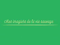 Mes imagiers de la vie sauvage