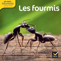 Les Docs Ribambelle Cycle 2 éd. 2014 - Les fourmis