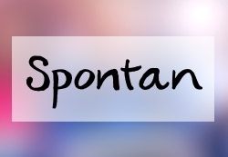 Spontan 2de - A2/B1 - Site internet